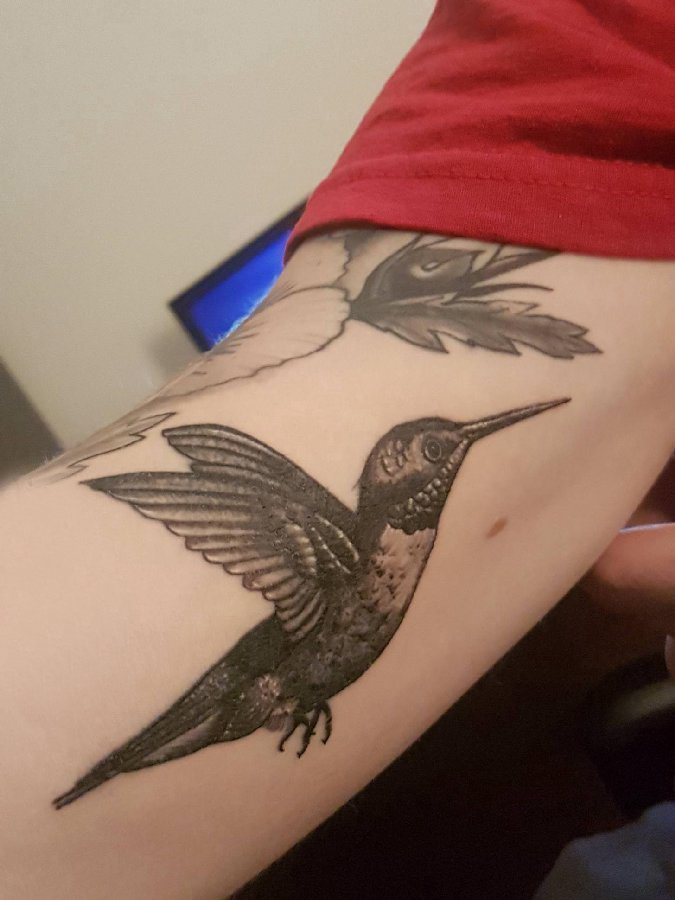 手臂纹身图片 男生手臂上黑色的蜂鸟纹身图片