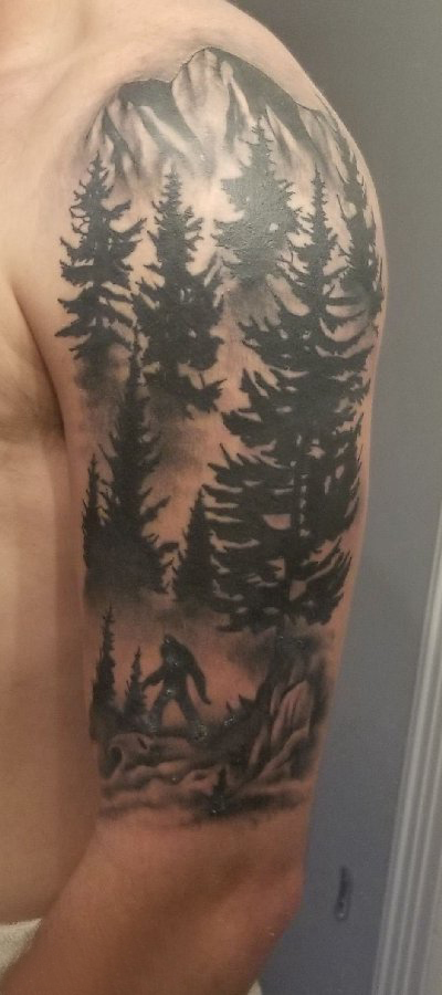 松树纹身 男生手臂上松树纹身图片