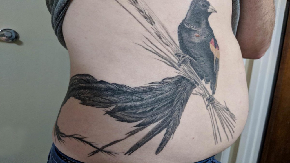 腹部纹身 男生腹部黑色的小鸟纹身图片