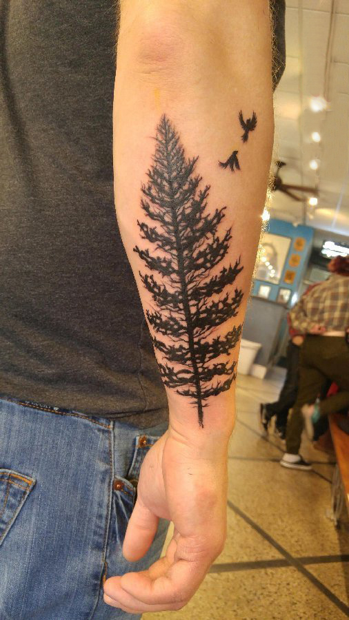 手臂纹身图片 男生手臂上黑色的松树纹身图片