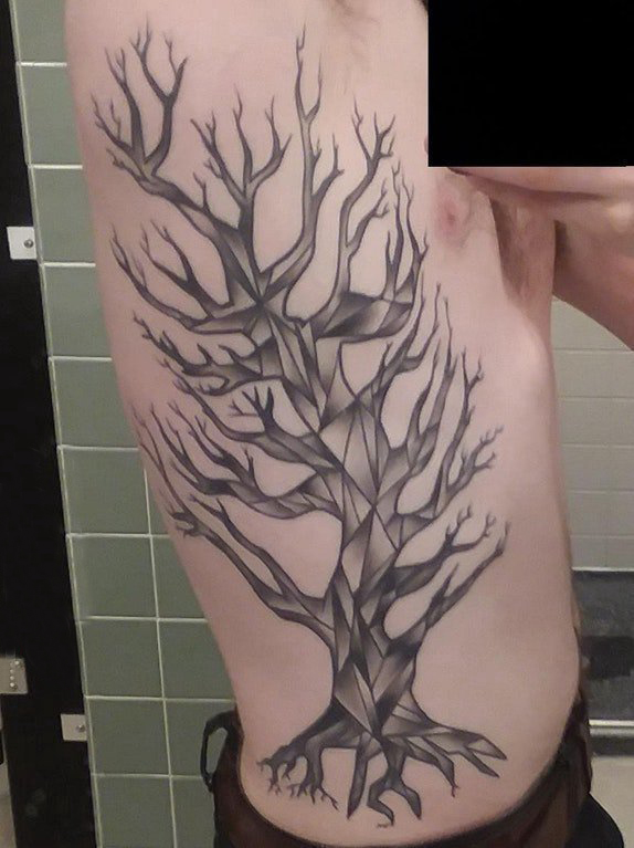 纹身树枝 男生侧腰上黑色的枯树纹身图片
