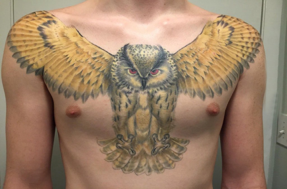 纹身胸部男 男生胸部彩绘的猫头鹰纹身图片