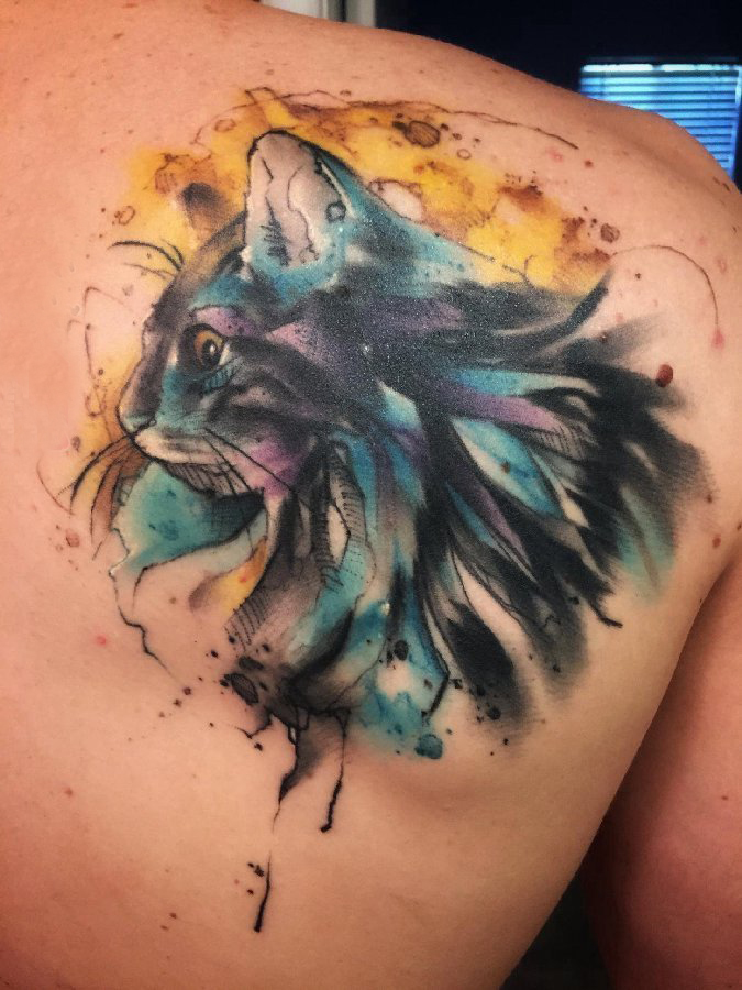 后背纹身男 男生后背上彩色的猫咪纹身图片