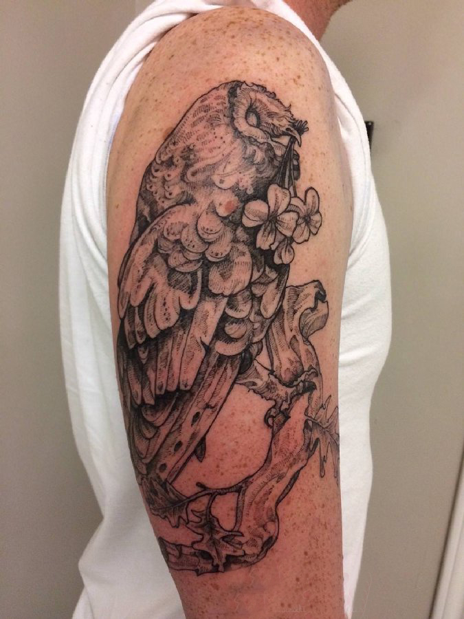 双大臂纹身 男生大臂上花朵和猫头鹰纹身图片
