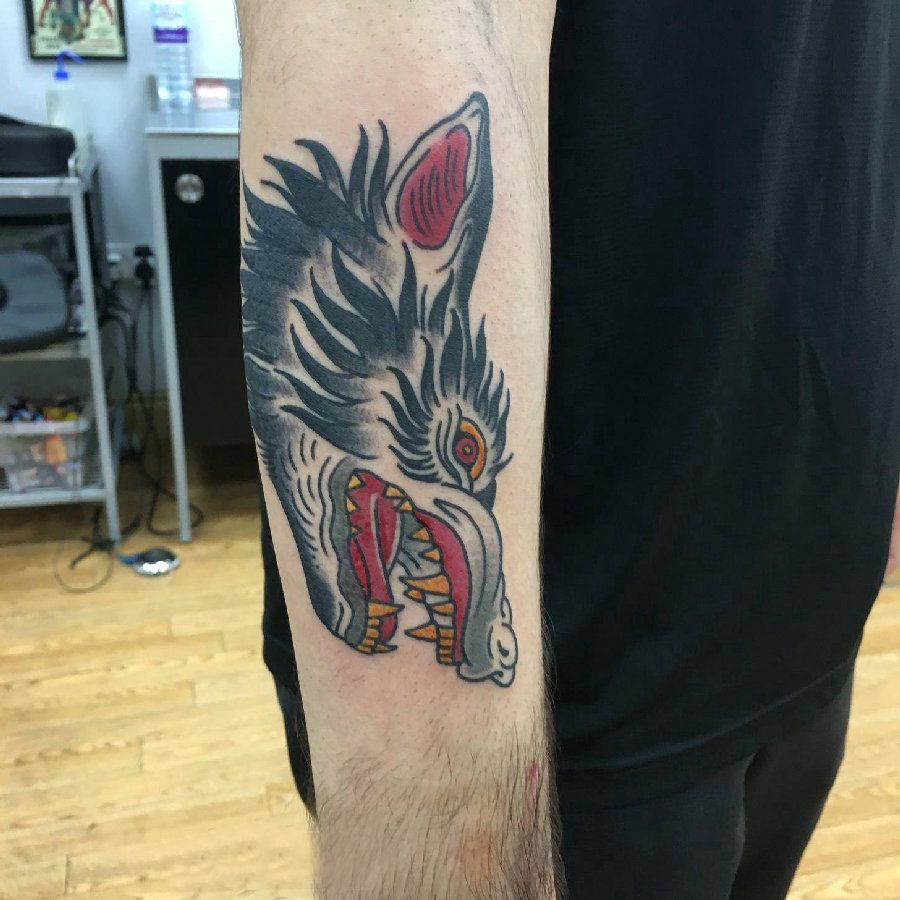 小动物纹身 男生手臂上彩色的狼头纹身图片