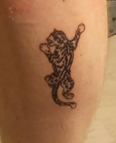 小动物纹身 男生小腿上黑色的老虎纹身图片
