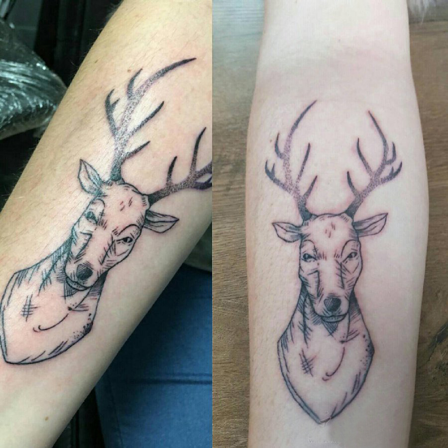 小动物纹身 情侣手臂上黑色的麋鹿纹身图片