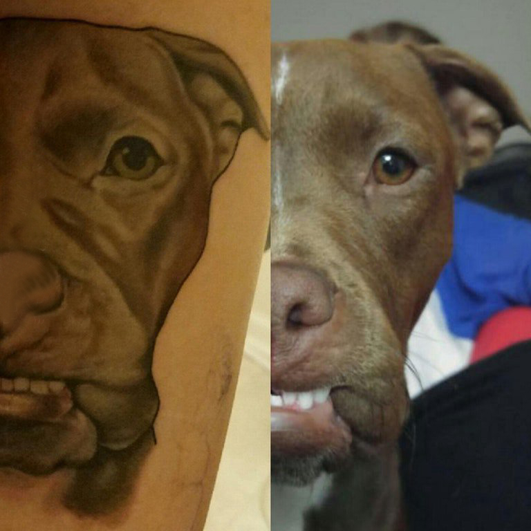 小狗纹身图案 男生小腿上黑色的小狗纹身图片