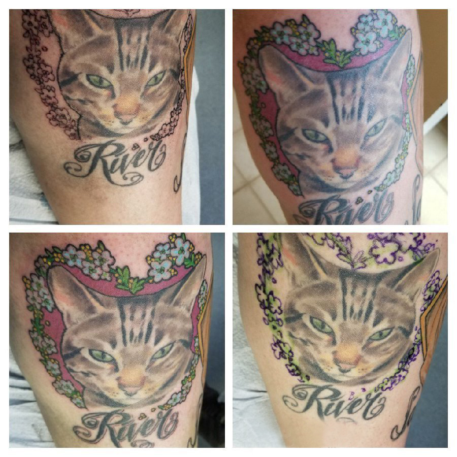 小猫咪纹身 男生手臂上猫纹身图片