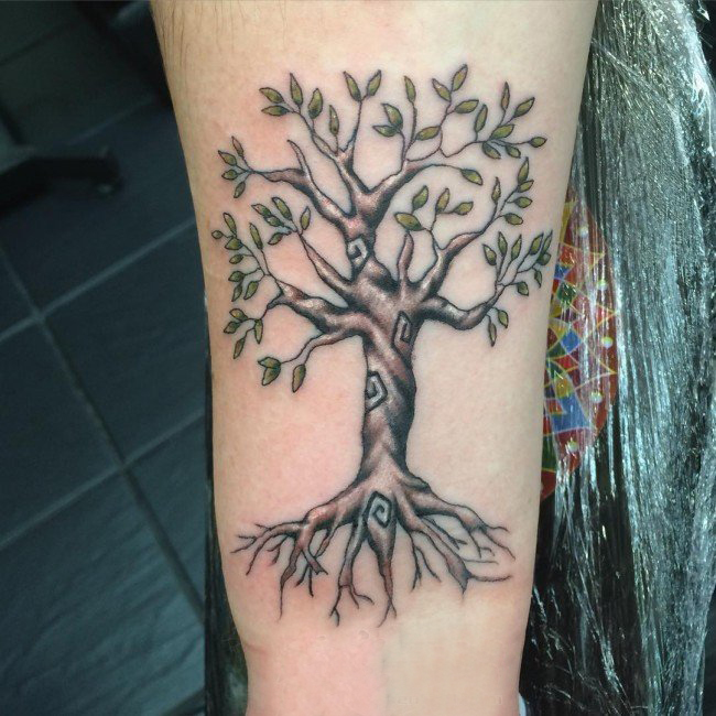 树纹身 多款简单线条纹身素描树图腾纹身图案