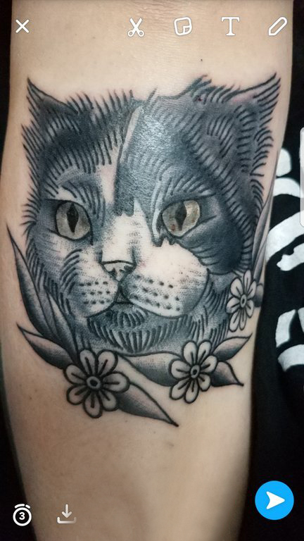 小清新猫咪纹身 男生手臂上小猫咪纹身图片