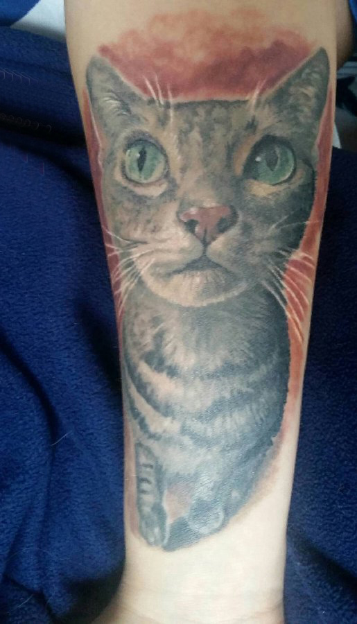 小清新猫咪纹身 女生手臂上猫纹身图片