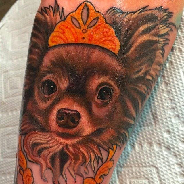 小动物纹身 多款彩绘纹身素描小动物纹身图案
