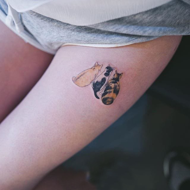 小猫咪纹身 多款彩绘纹身素描小清新猫咪纹身图案
