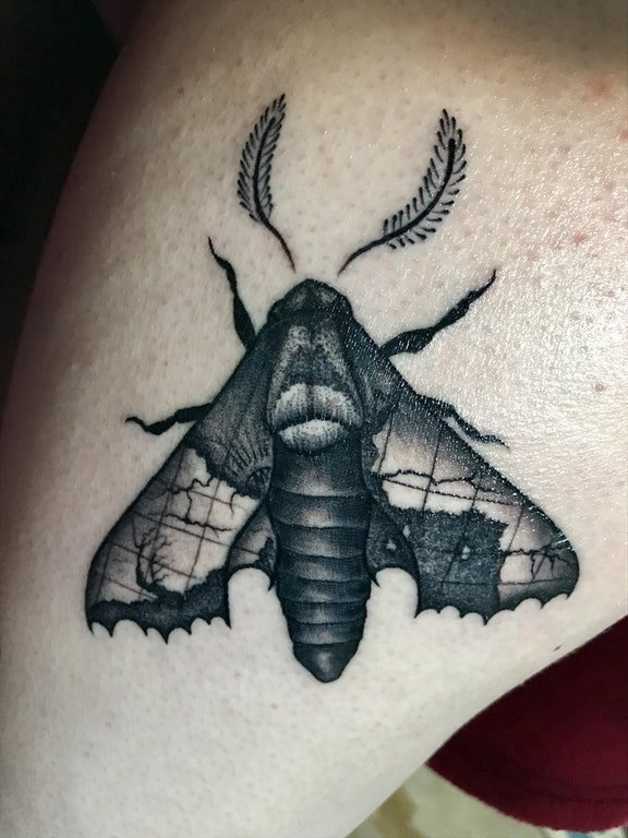 大腿纹身传统 女生大腿上黑色的飞蛾纹身图片