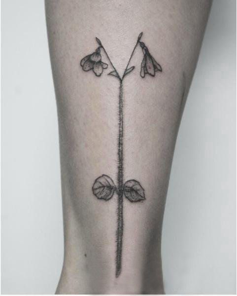 欧美小腿纹身 女生小腿上黑色的植物纹身图片
