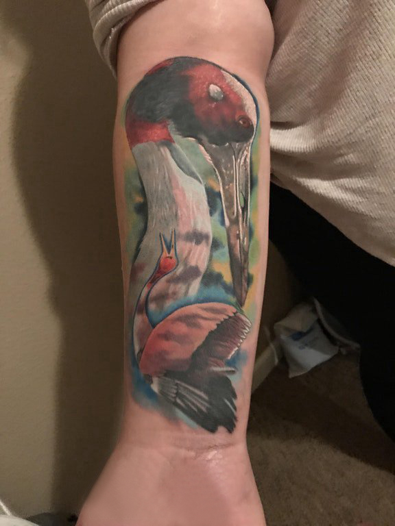手臂纹身图片 男生手臂上彩色的仙鹤纹身图片