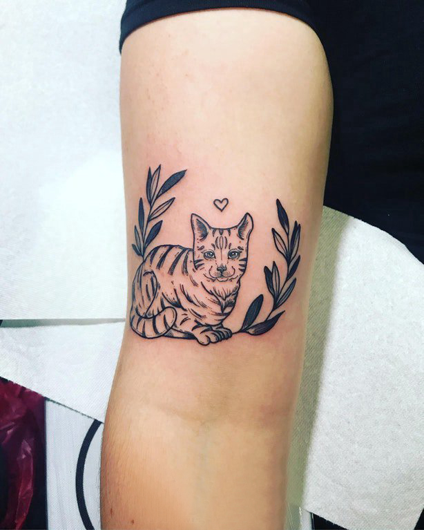 小动物纹身 女生手臂上植物和猫咪纹身图片