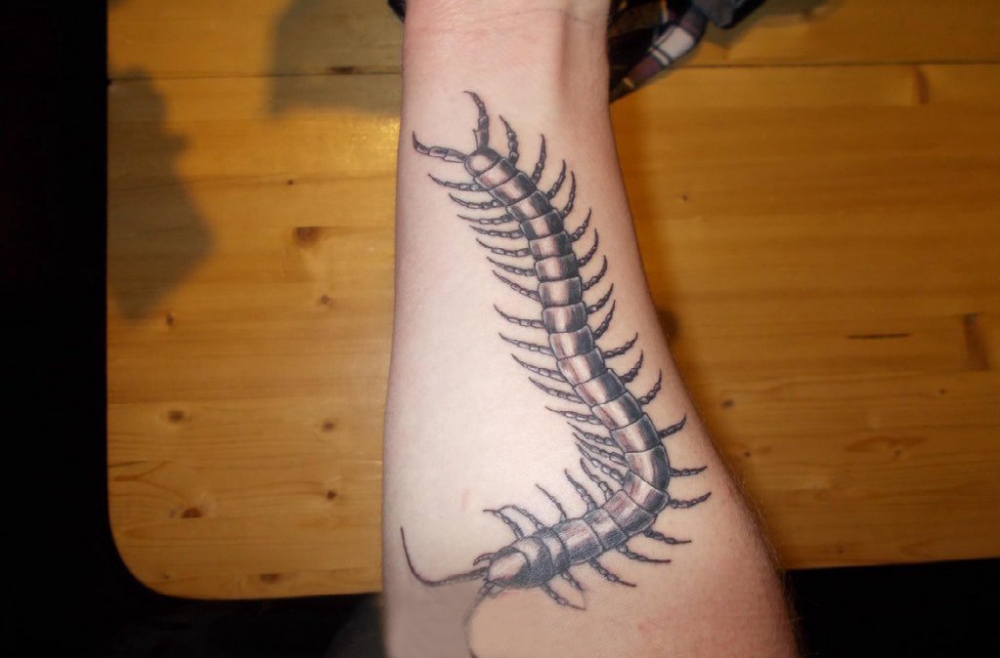 蝎子纹身 男生手臂上蝎子纹身图片