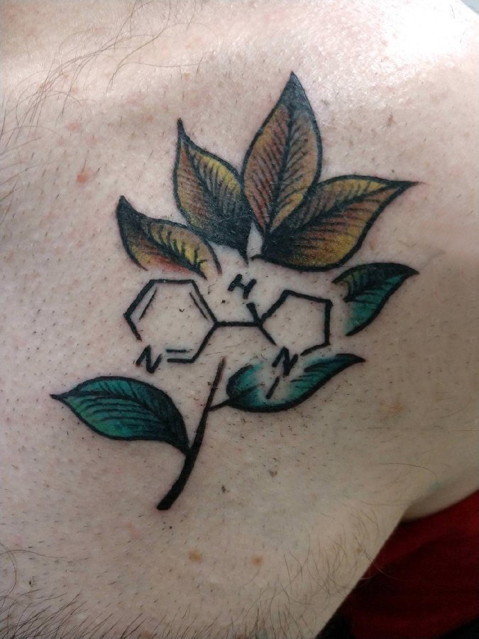 植物纹身 男生手臂上植物纹身图片