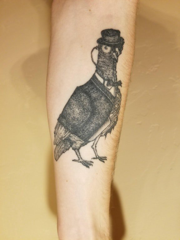 鸽子纹身 男生手臂上黑灰的鸽子纹身图片