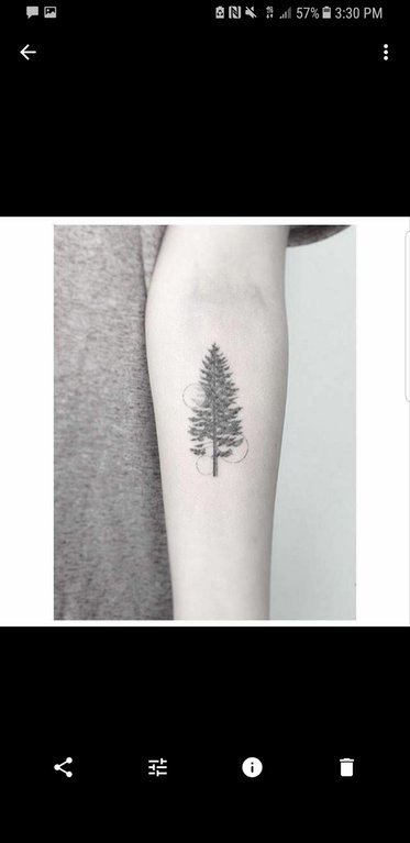 松树纹身  女生手臂上黑色的松树纹身图片