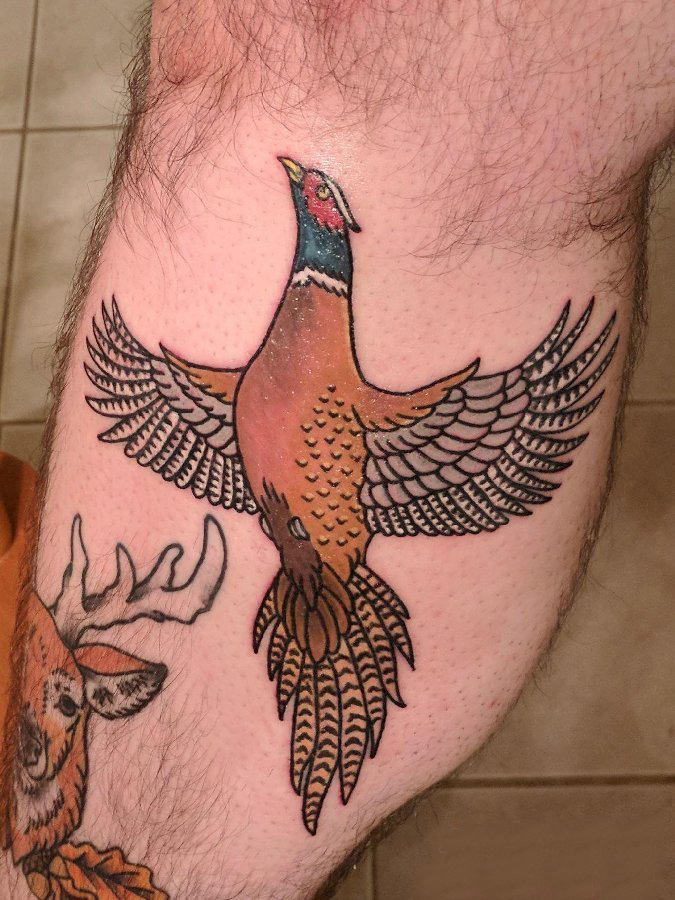 纹身鸟 男生小腿上彩色的动物纹身图片