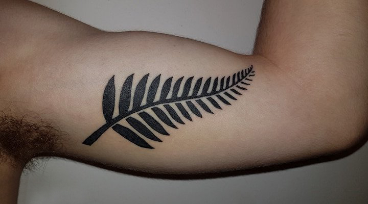 植物纹身 男生手臂上黑色的植物纹身图片