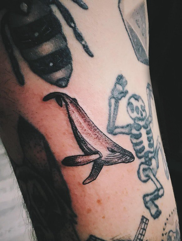 鲸鱼纹身 男生手臂上黑色的鲸鱼纹身图片