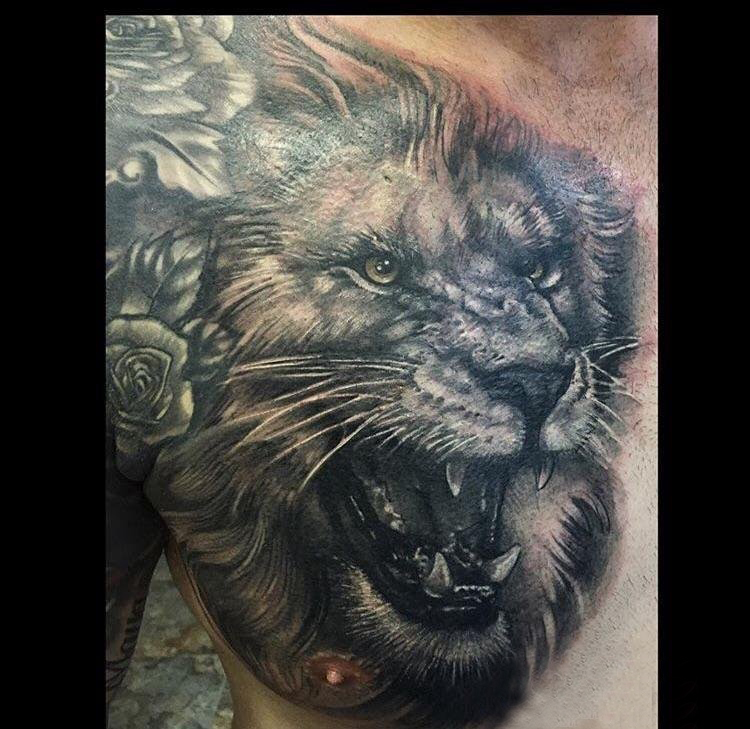 狮子王纹身  男生胸上素描的狮子纹身图片