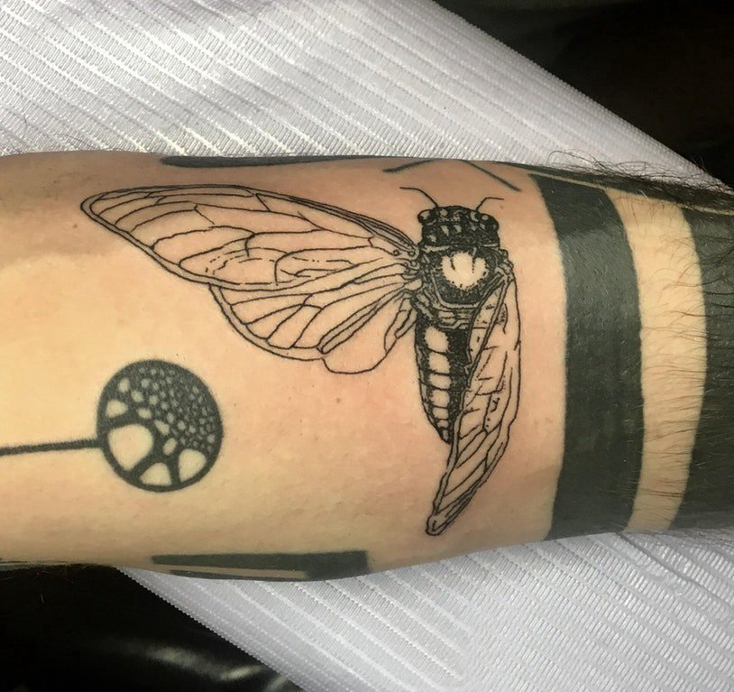 小动物纹身 男生手臂上黑色的昆虫纹身图片
