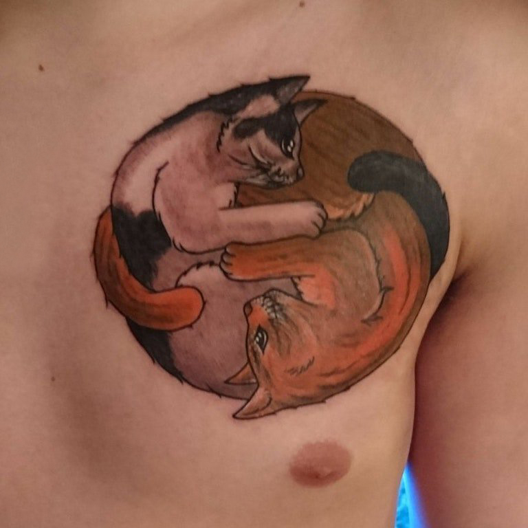 小猫咪纹身   男生胸上彩绘的小猫咪纹身图片