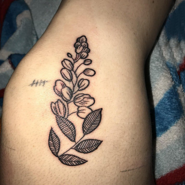 植物纹身   女生大腿上黑灰的植物纹身图片