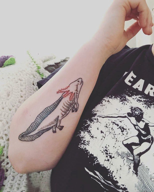 百乐动物纹身 女生手臂上彩色的大鲵纹身图片
