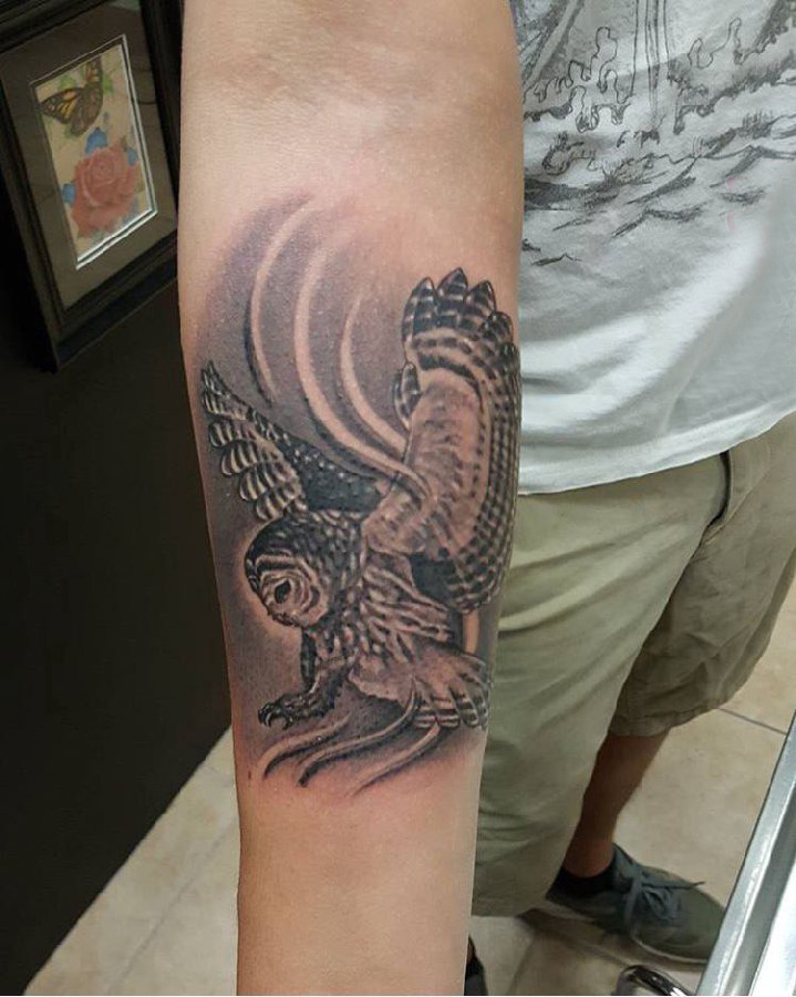 猫头鹰纹身图 男生手臂上灰色的猫头鹰纹身图片