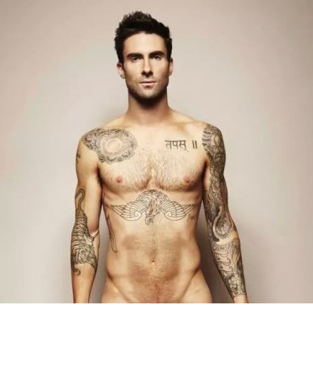 国际纹身明星  Adam Levine胸下黑色的老鹰纹身图片