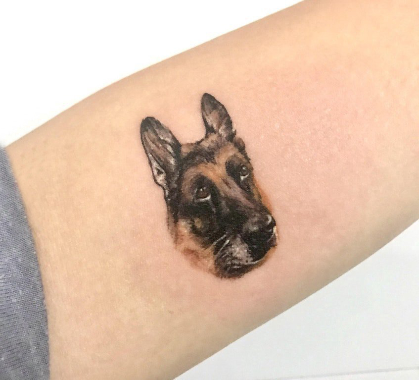 小狗纹身图片  女生小臂上可爱的小狗纹身图片