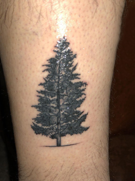 生命树纹身素材 男生小腿上黑色的松树纹身图片