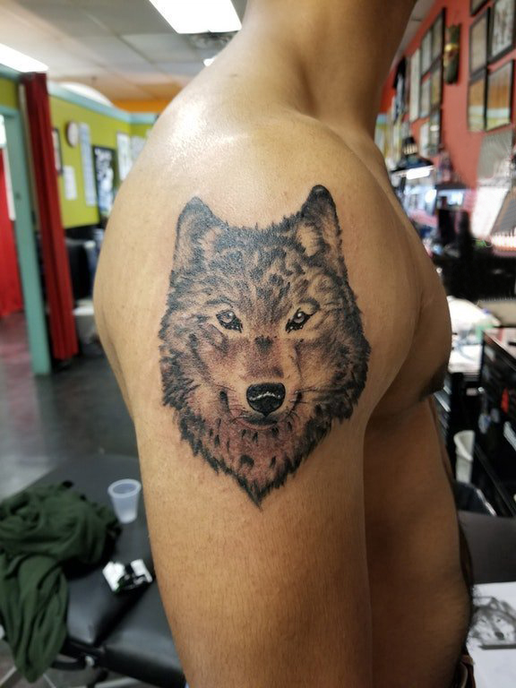 滴血狼头纹身  男生大臂上素描的狼头纹身图片