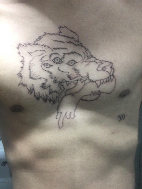 滴血狼头纹身  男生胸上极简的狼头纹身图片