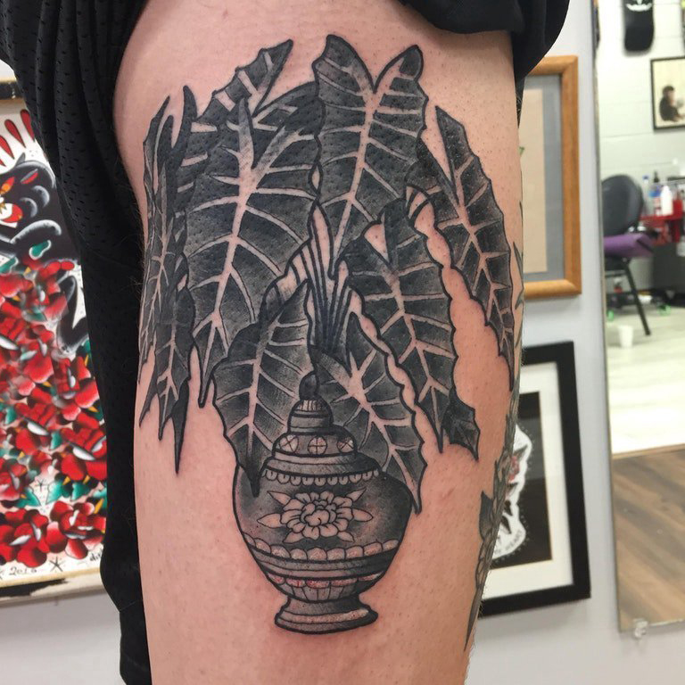 植物纹身  女生大腿上素描的植物纹身图片