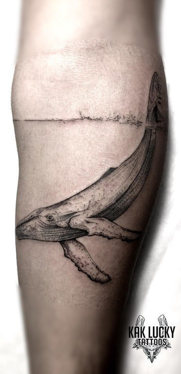 纹身鲸鱼   男生手臂上创意的鲸鱼纹身图片