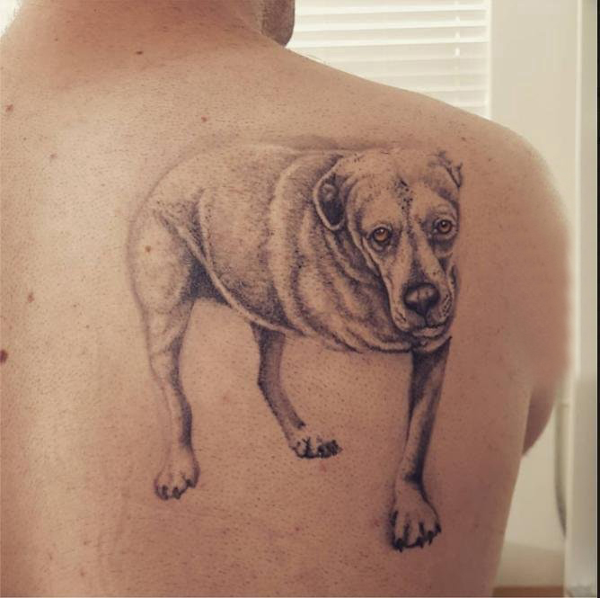 小狗纹身图片  男生后背上黑灰的小狗纹身图片