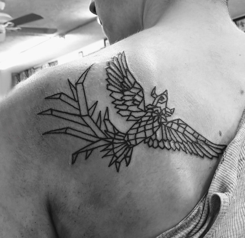 几何动物纹身 男生后背上黑色的凤凰纹身图片