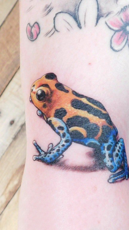百乐动物纹身  女生手臂上彩绘的动物纹身图片