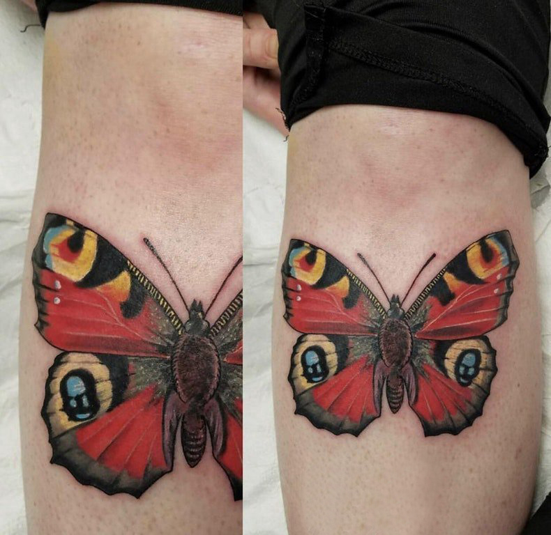 小动物纹身 男生小腿上彩色的蝴蝶纹身图片