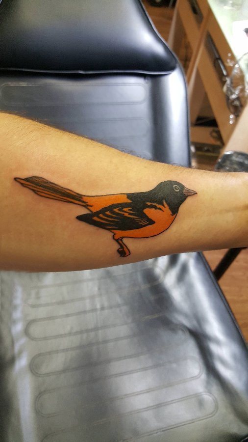 纹身鸟 男生手臂上彩色的小鸟纹身图片