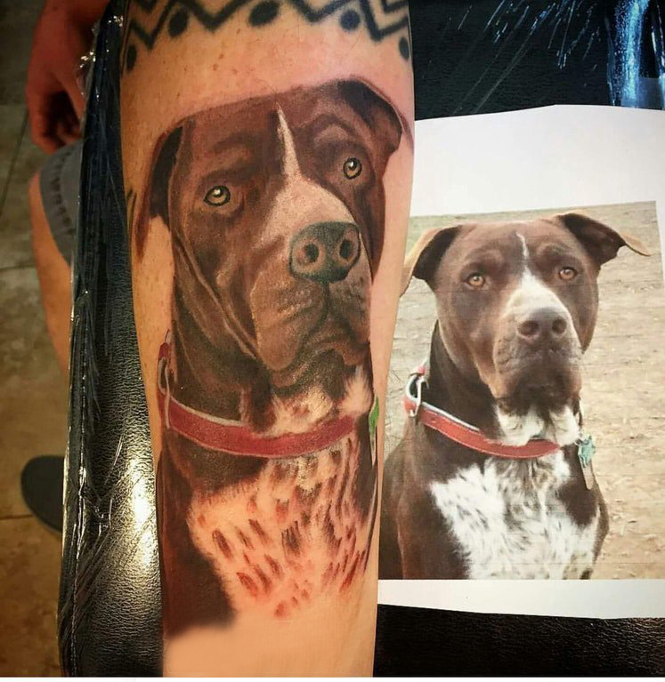 小狗纹身图片  男生手臂上彩绘的小狗纹身图片
