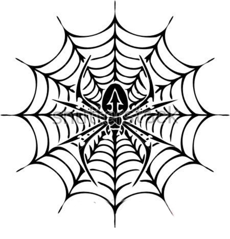 蜘蛛网纹身手稿 规则的蜘蛛和蜘蛛网纹身手稿