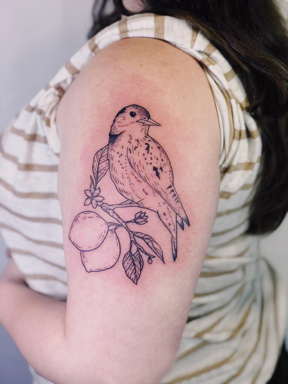 双大臂纹身 女生大臂上植物和小鸟纹身图片